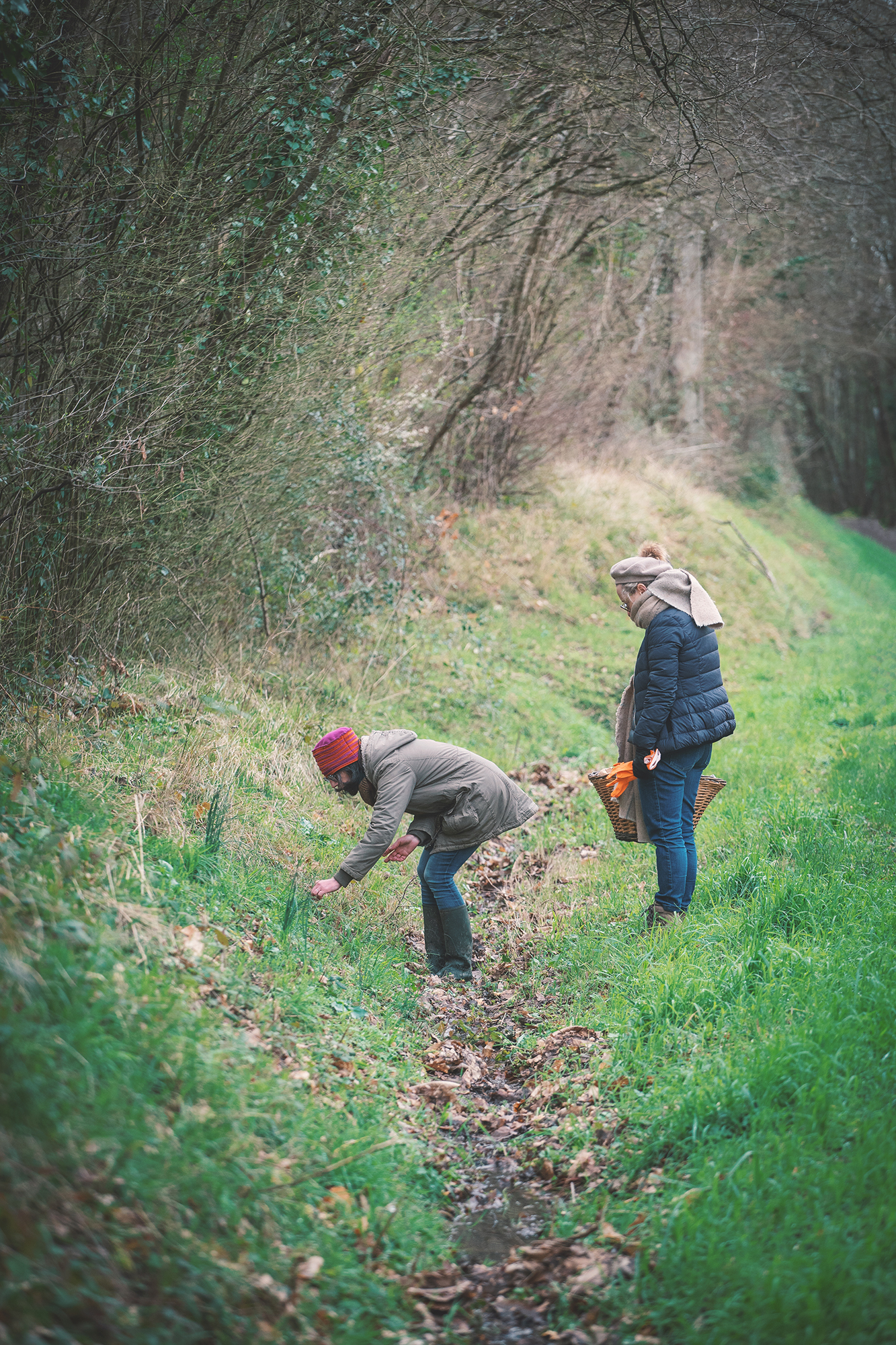 Atelier plantes sauvages